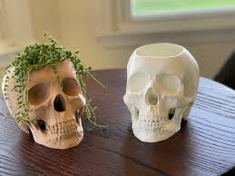 Skull neopot