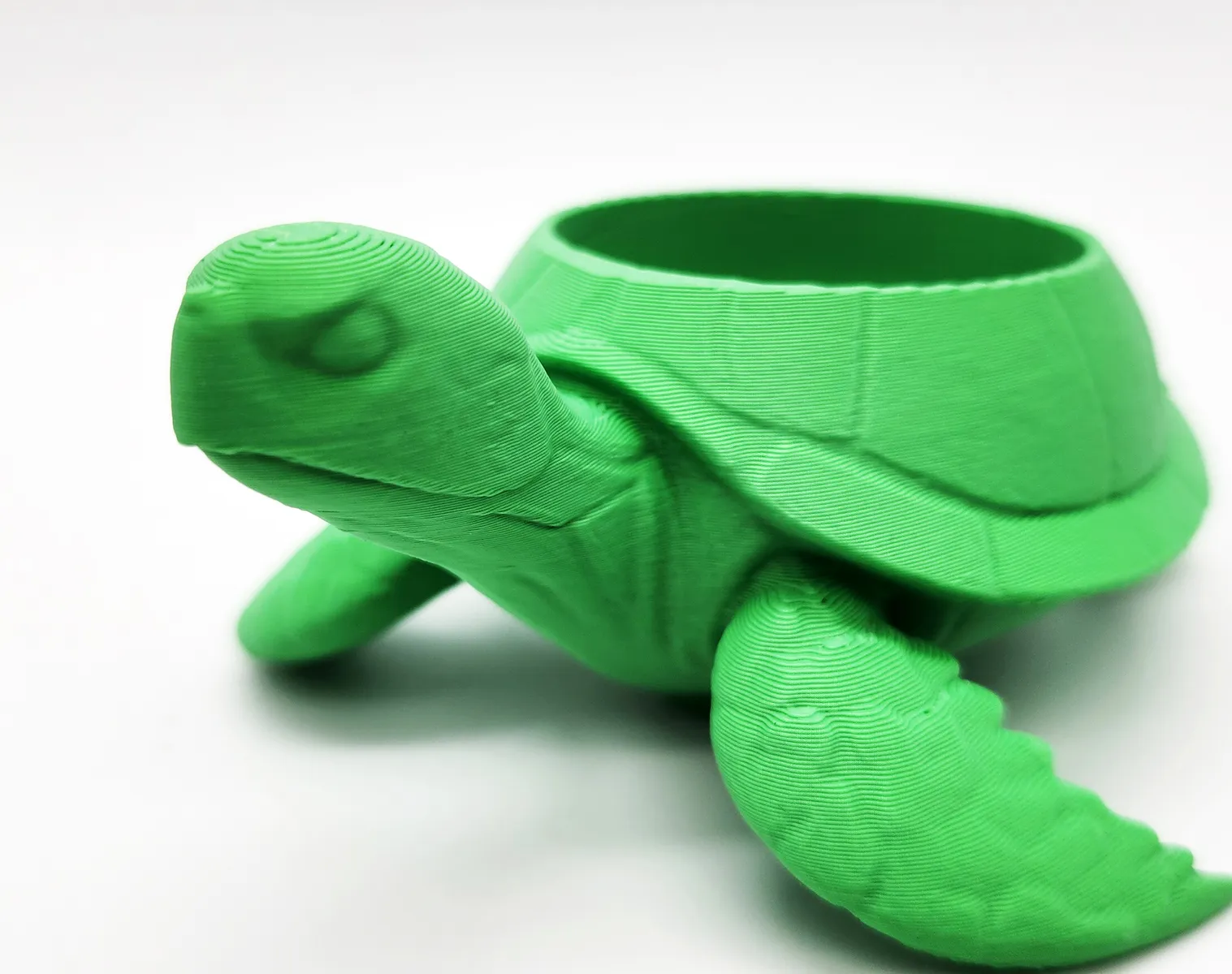 Turtle neopot